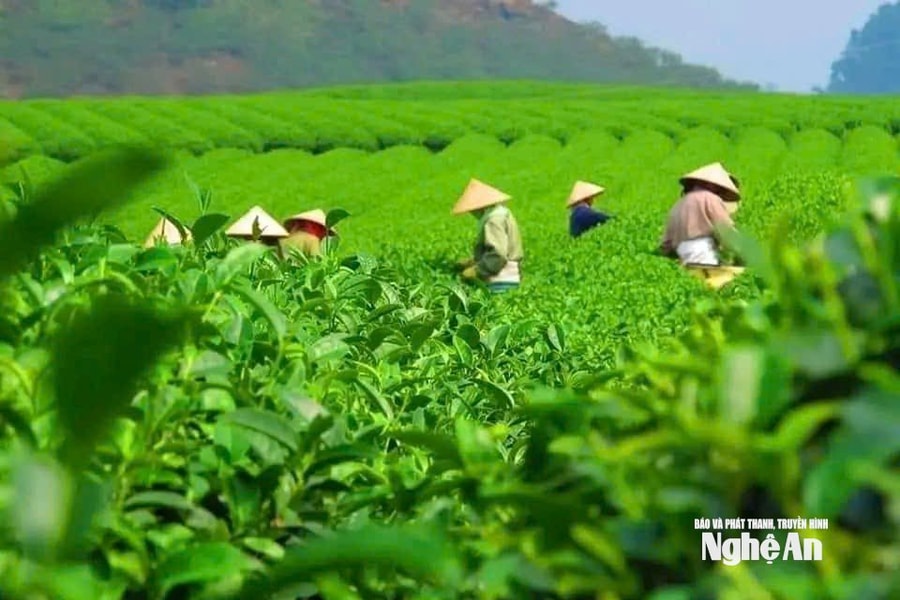 Hạnh Lâm, miền đất biên cương bừng sức sống mới...