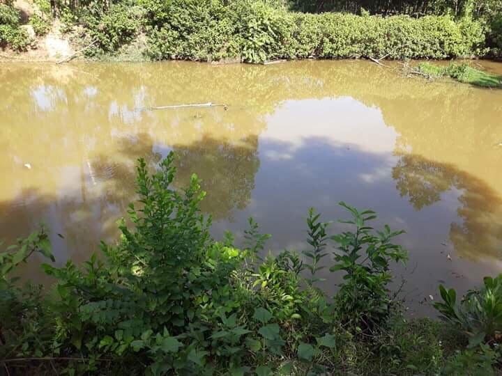 Phát hiện thi thể bé gái dưới ao sau gần nửa ngày mất tích