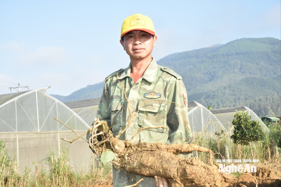 "Giám đốc nông dân" xây dựng 7 sản phẩm OCOP trên quê Bác