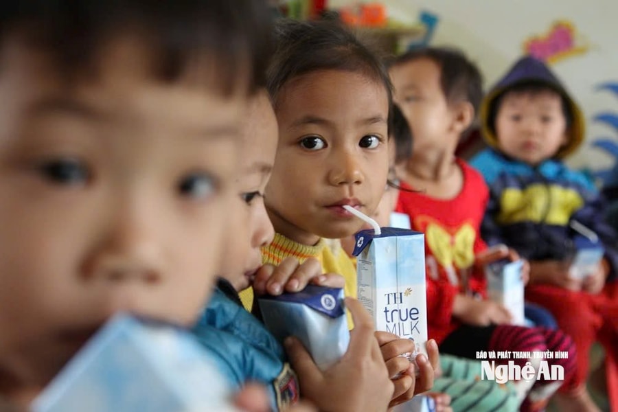 Tập đoàn TH đồng hành với dinh dưỡng học đường Nghệ An