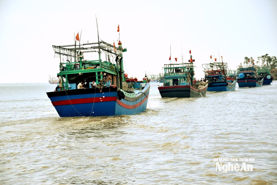 Vì sao ngư dân không mặn mà bảo hiểm tàu cá?