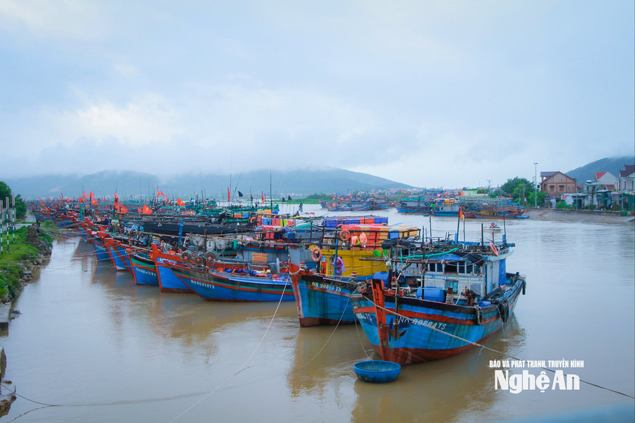 Phó Thủ tướng Trần Hồng Hà giao tiếp tục thanh tra, kiểm tra chống khai thác IUU
