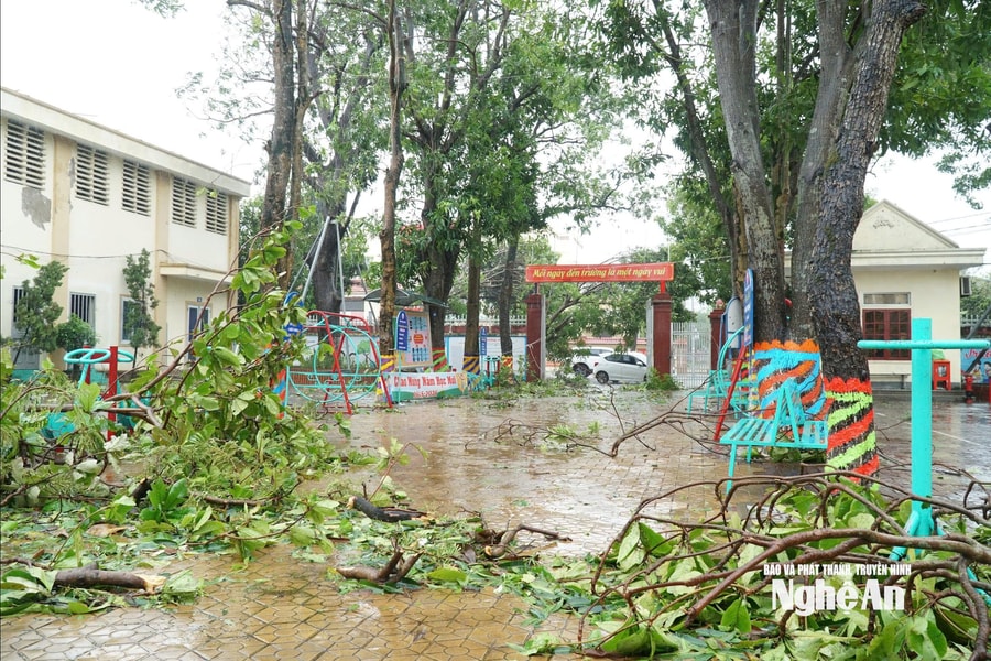 Nhiều trường học ở Nghệ An bị hư hỏng nặng sau bão số 10