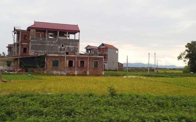 Xây nhà trên đất nông nghiệp trước ngày 1/7/2004 sẽ không bị phạt?