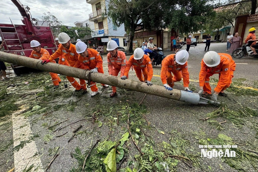Ngành điện Nghệ An cơ bản hoàn thành cấp điện trở lại sau bão số 10