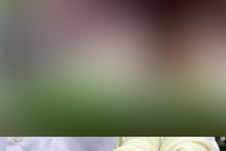 Rắn độc sinh sôi sau mưa ở phía Nam, nhiều trẻ bị cắn nhập viện