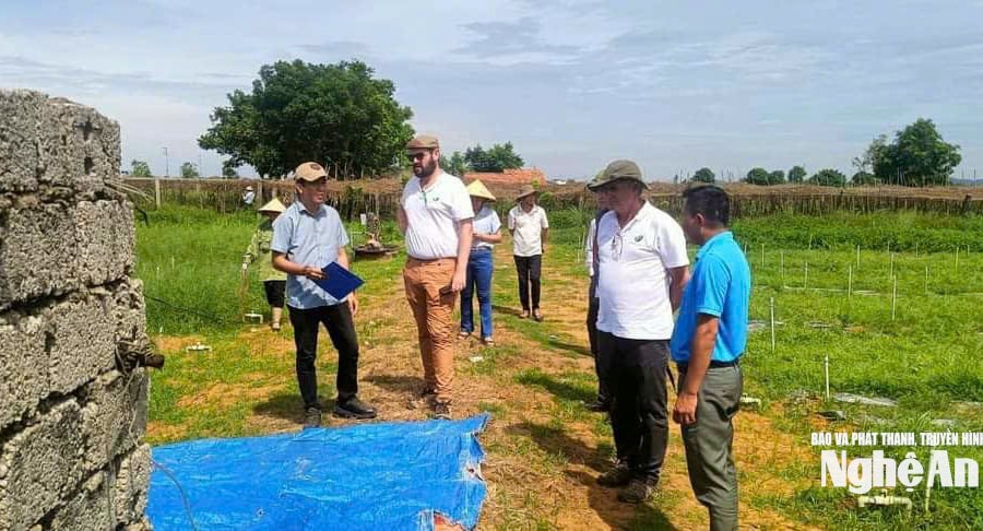 Thống nhất kiện toàn mô hình khuyến nông trước ngày 30/10/2025