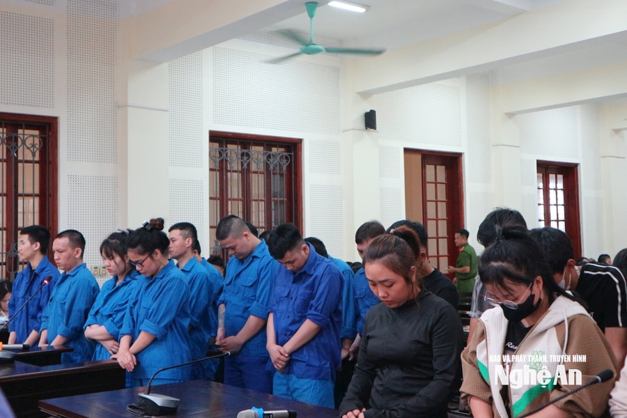 Nghệ An: 33 bị cáo hầu tòa trong vụ lừa đảo bằng kịch bản giả danh cơ quan tố tụng từ Campuchia