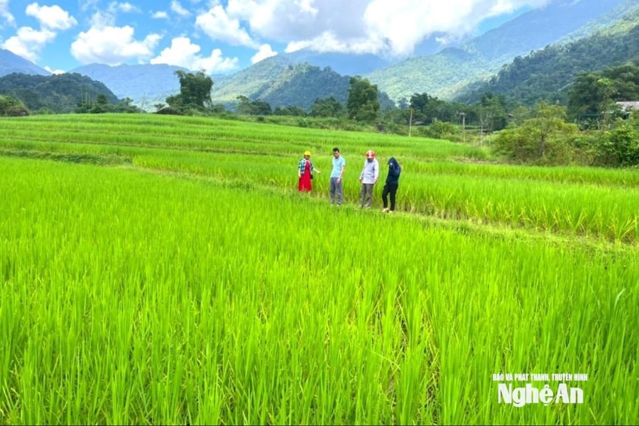 Vai trò của công tác dân vận trong xây dựng chính quyền gần dân, vì dân