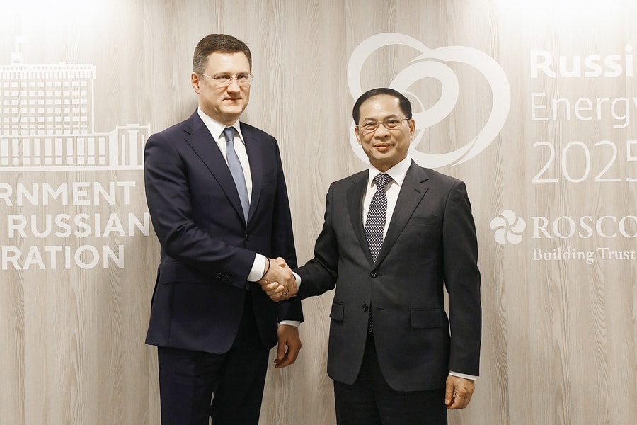 Chính phủ Nga cam kết triển khai sớm, hiệu quả thỏa thuận cấp cao với Việt Nam