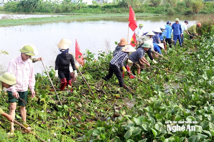 Nghệ An: Sôi nổi ra quân làm thủy lợi, chỉnh trang ruộng đồng