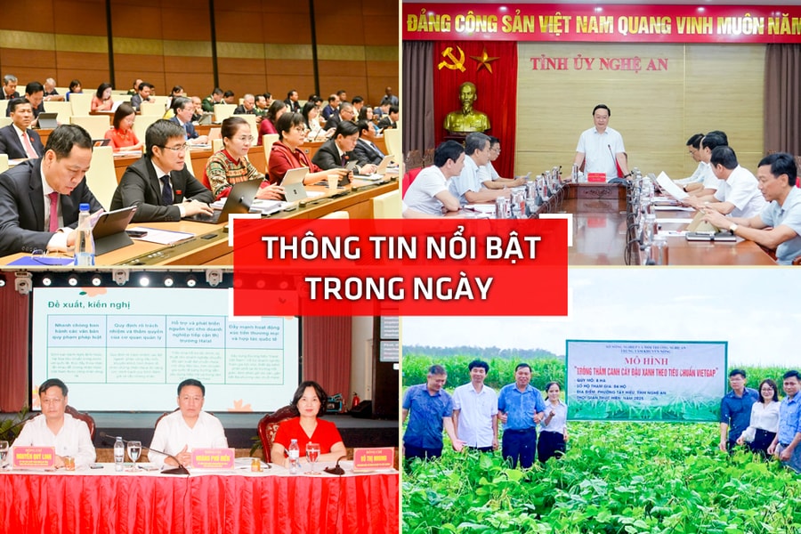 Nghệ An: Thông tin nổi bật ngày 20/10