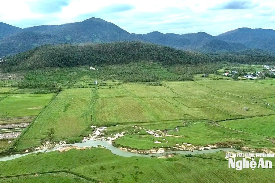 Dự án nông nghiệp công nghệ cao ở xã Phúc Lộc: 5 năm vẫn là bãi đất hoang!