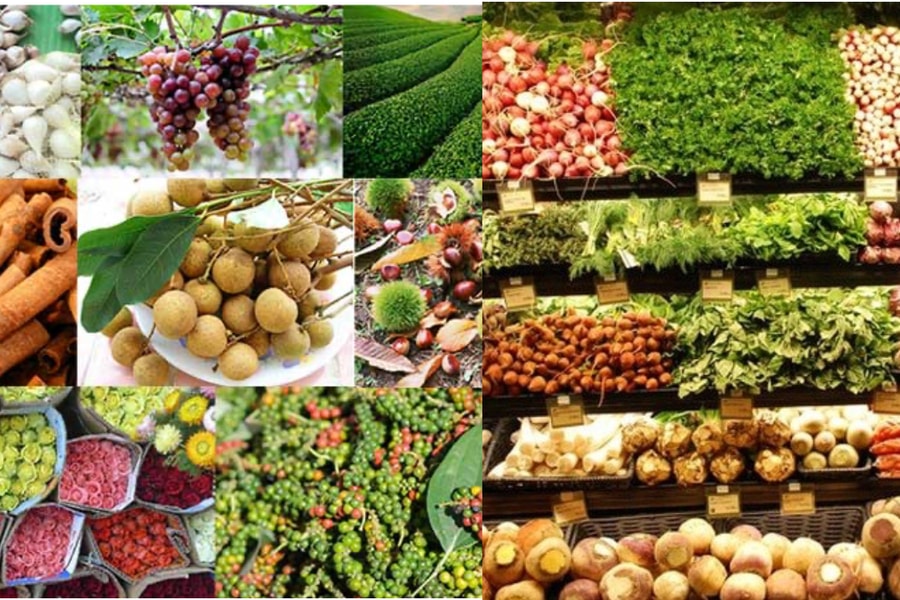 Giá nông sản hôm nay 23/10/2025: Giá lúa gạo xuất khẩu giảm, cao su bật tăng