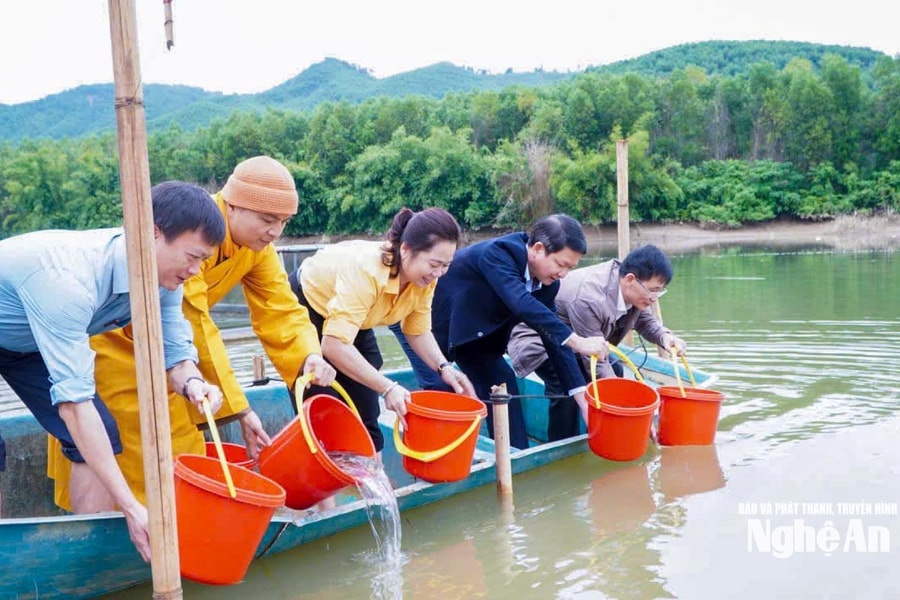 Thả hơn 2,3 tấn cá giống tái tạo nguồn lợi thủy sản tại hồ Châu Thắng