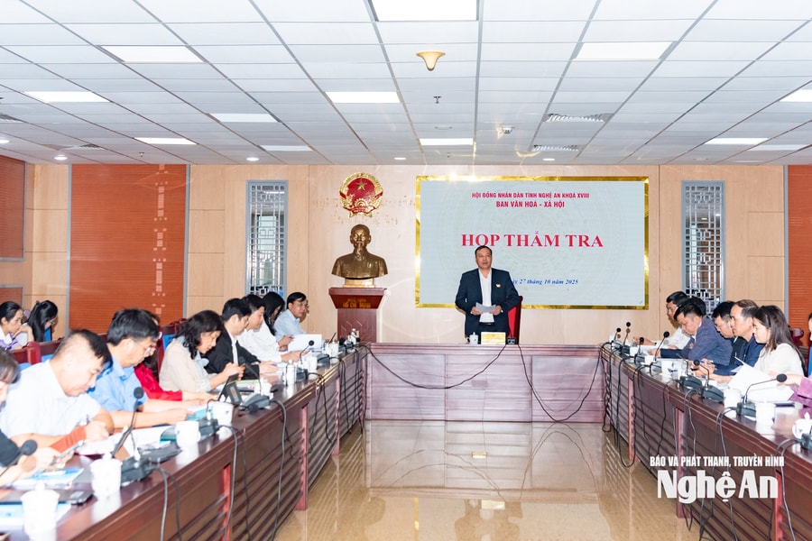 Ban Văn hóa - Xã hội HĐND tỉnh Nghệ An thẩm tra chính sách bảo trợ xã hội