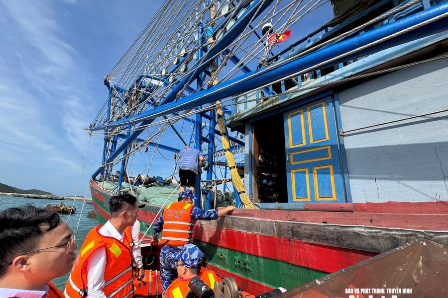 Cả nước có 99,8% tàu cá đăng ký, cập nhật vào dữ liệu nghề cá quốc gia