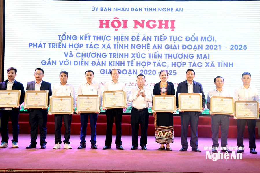 Nghệ An: Gần 62% hợp tác xã hoạt động hiệu quả, gắn với xúc tiến thương mại