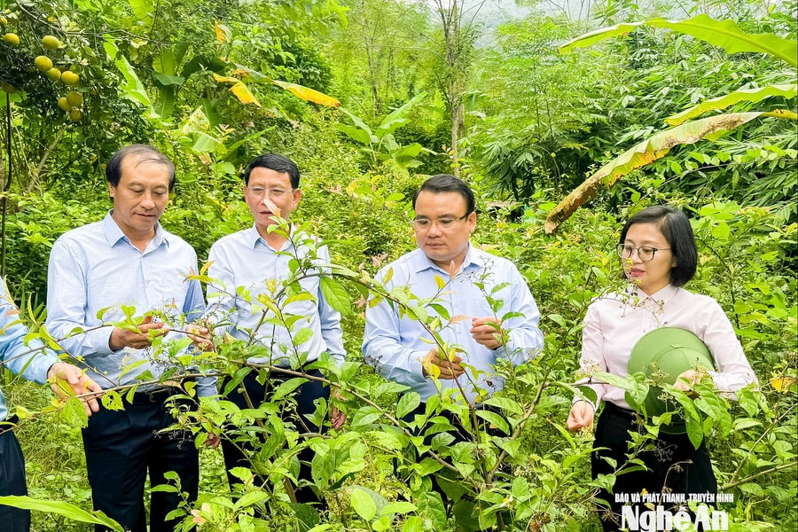 Phó Chủ tịch UBND tỉnh Phùng Thành Vinh kiểm tra, tháo gỡ khó khăn vận hành chính quyền địa phương 2 cấp tại các xã miền Tây Nghệ An