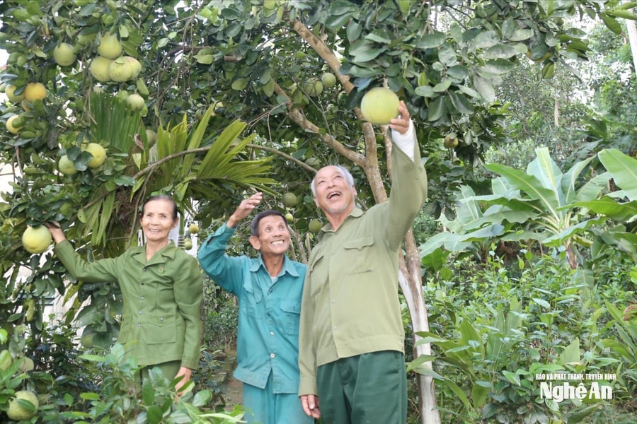 Chăm sóc và phát huy vai trò người cao tuổi trong tình hình mới