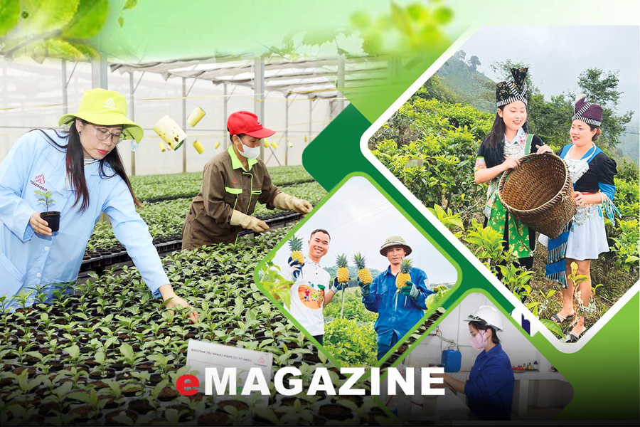 Kinh tế tuần hoàn - chìa khóa chiến lược trong thời kỳ biến đổi khí hậu - Bài 3: Vai trò của tín dụng xanh trong phát triển kinh tế tuần hoàn