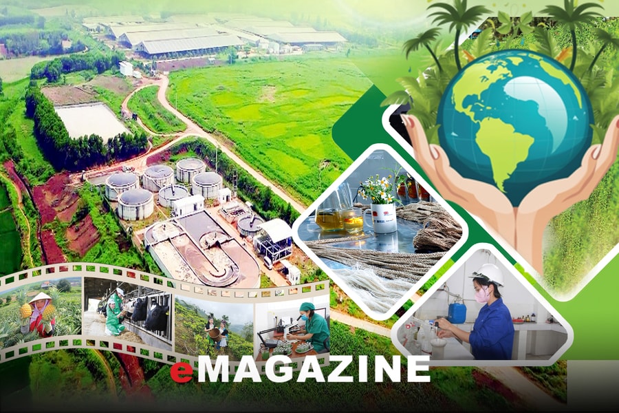 Kinh tế tuần hoàn - chìa khóa chiến lược trong thời kỳ biến đổi khí hậu