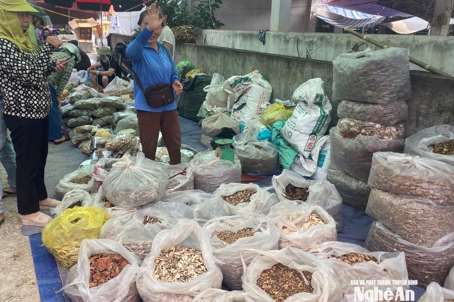 Tràn lan thuốc đông y trôi nổi, hiểm họa cho sức khỏe người dân