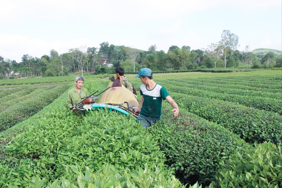 Những kết quả và con số nổi bật của ngành Nông nghiệp và Môi trường Nghệ An giai đoạn 2020 - 2025