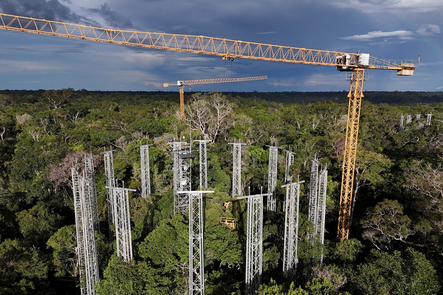 COP30: Tiếng gọi cấp bách từ Amazon