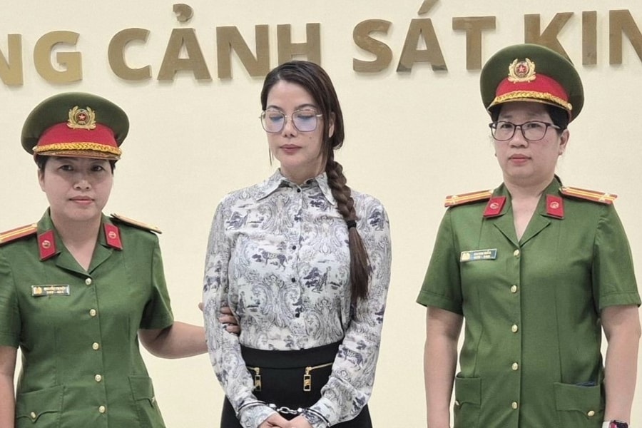 Vụ Trương Ngọc Ánh: Vì sao nghệ sĩ lấn sân kinh doanh dễ sa lầy?
