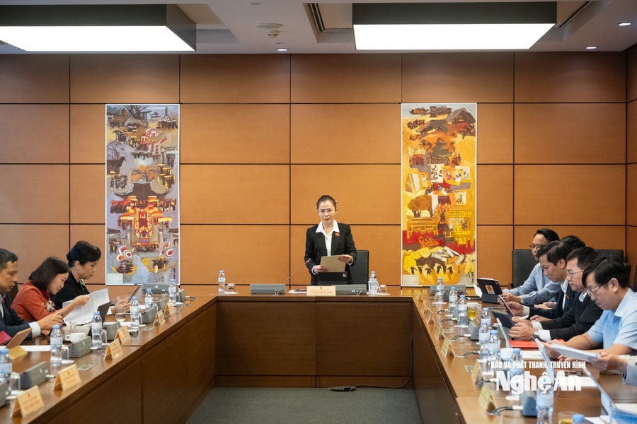 Đại biểu Quốc hội đoàn Nghệ An: Không nên 'cào bằng' mức giảm trừ gia cảnh