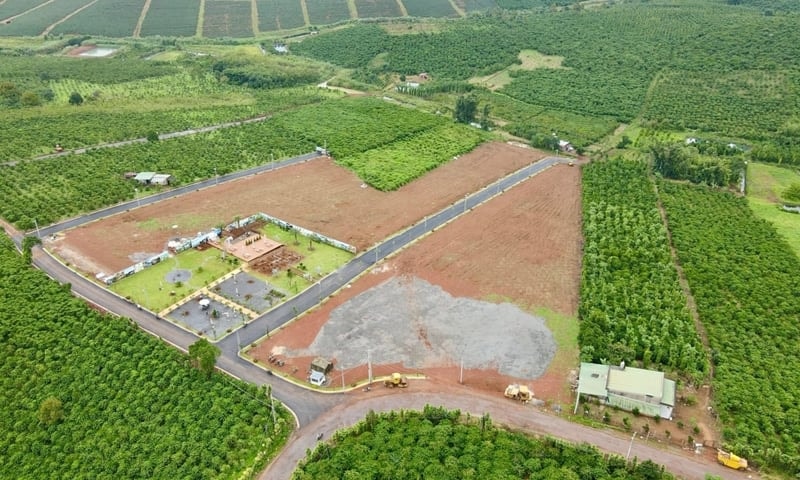 Năm 2025, loại đất nào được sử dụng kết hợp đa mục đích?