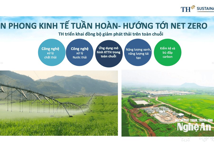 Triển khai các cam kết của Việt Nam về ứng phó biến đổi khí hậu