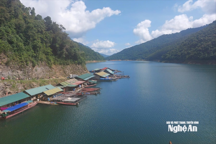 Bấp bênh nuôi cá trên lòng hồ thủy điện