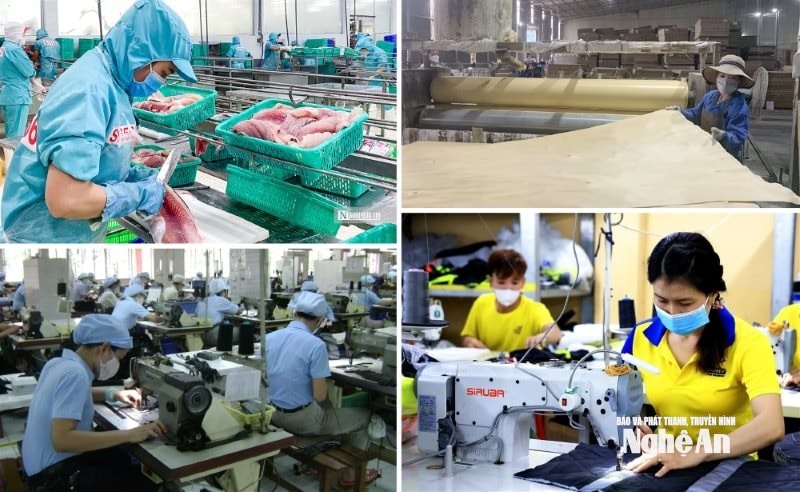 Góp ý vào văn kiện Đại hội XIV của Đảng: Kinh tế tư nhân là một động lực quan trọng nhất của nền kinh tế