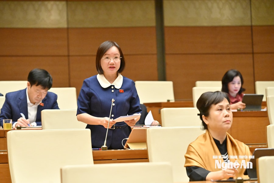 Đại biểu Quốc hội đoàn Nghệ An nêu bất cập khi phí bảo hiểm tiền gửi của quỹ tín dụng bằng ngân hàng thương mại