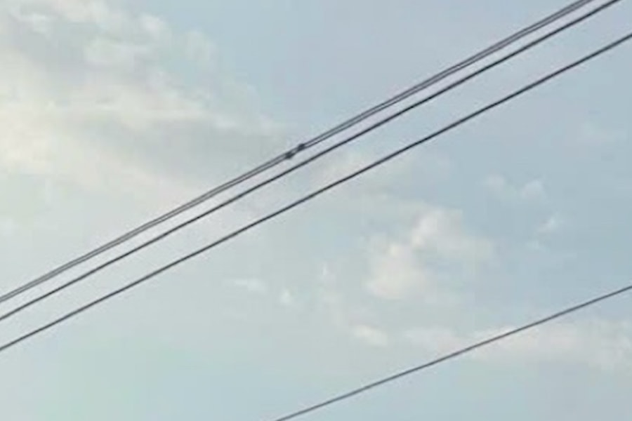 Hi hữu: Quăng dây câu cá, người đàn ông bị điện giật bỏng nặng toàn thân