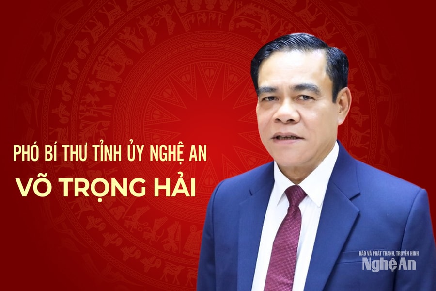 Infographic: Chân dung đồng chí Võ Trọng Hải - tân Phó Bí thư Tỉnh ủy Nghệ An