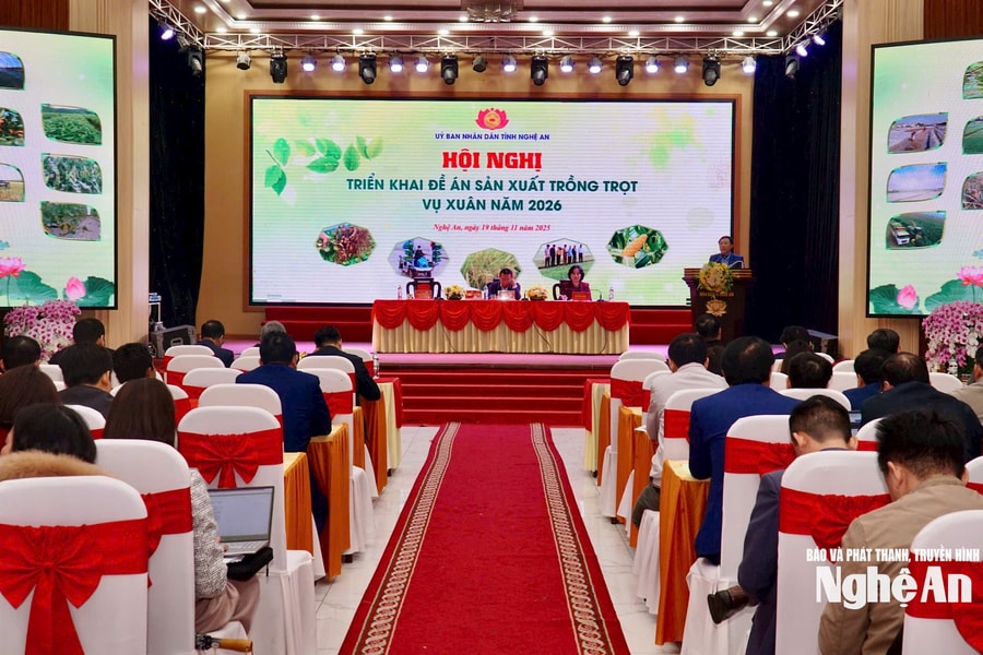 Vụ Xuân 2026, Nghệ An phấn đấu đạt trên 700.000 tấn lương thực