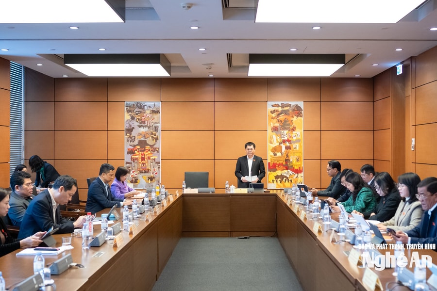 Đại biểu Quốc hội đoàn Nghệ An thảo luận cơ chế, chính sách tháo gỡ khó khăn, vướng mắc thi hành Luật Đất đai