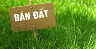 Phải xác nhận tài sản trên đất mới được bán đất có đúng không?