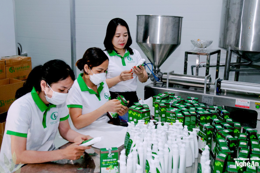 Bệ đỡ vững chắc cho hành trình khởi nghiệp của nữ giám đốc xứ Bạch Ngọc