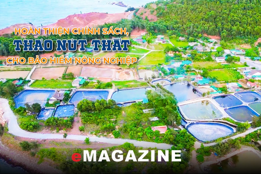 Hoàn thiện chính sách, tháo nút thắt cho bảo hiểm nông nghiệp - Bài cuối: Giải pháp kích hoạt bảo hiểm, bảo vệ "tam nông"