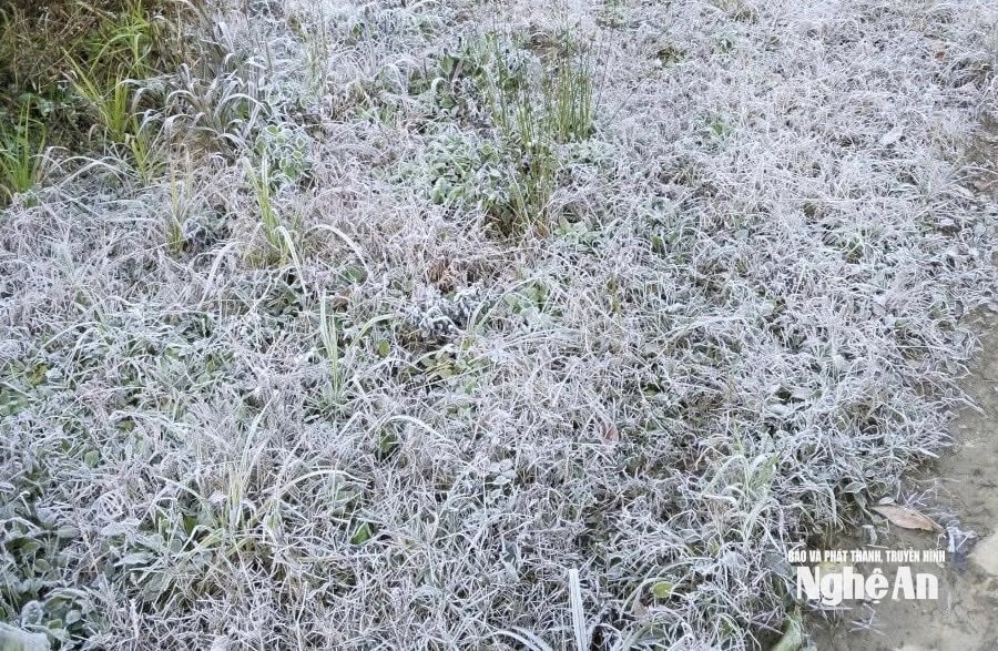 Nhiệt độ xuống dưới 0°C, băng giá xuất hiện tại xã Na Ngoi