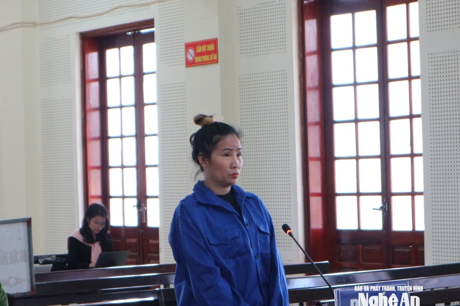 Vận chuyển gần 3 yến ma túy, thiếu phụ lĩnh án chung thân