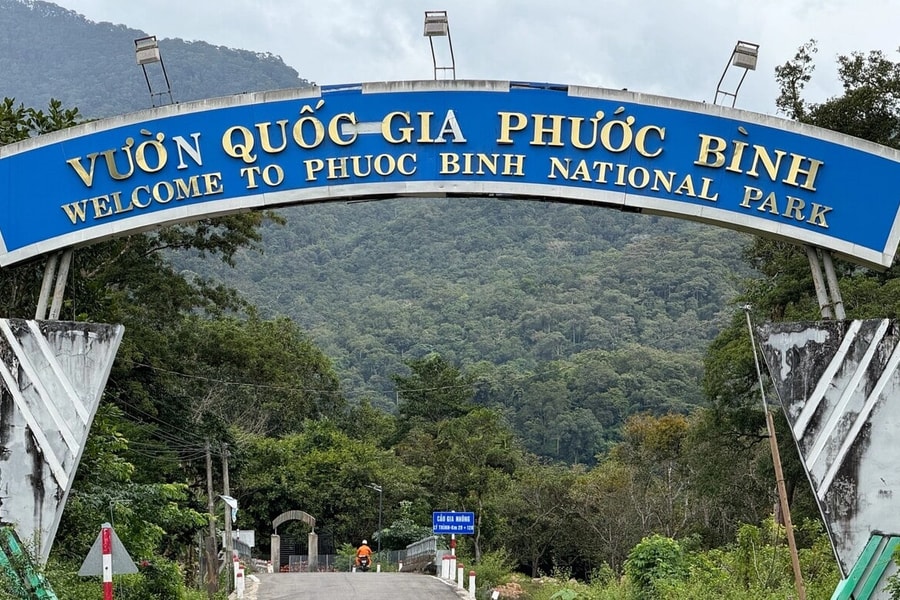 Vườn quốc gia Phước Bình: trekking, tắm suối và săn mây