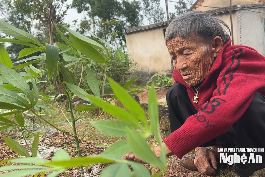 Nỗi đau của người mẹ già nghèo khó