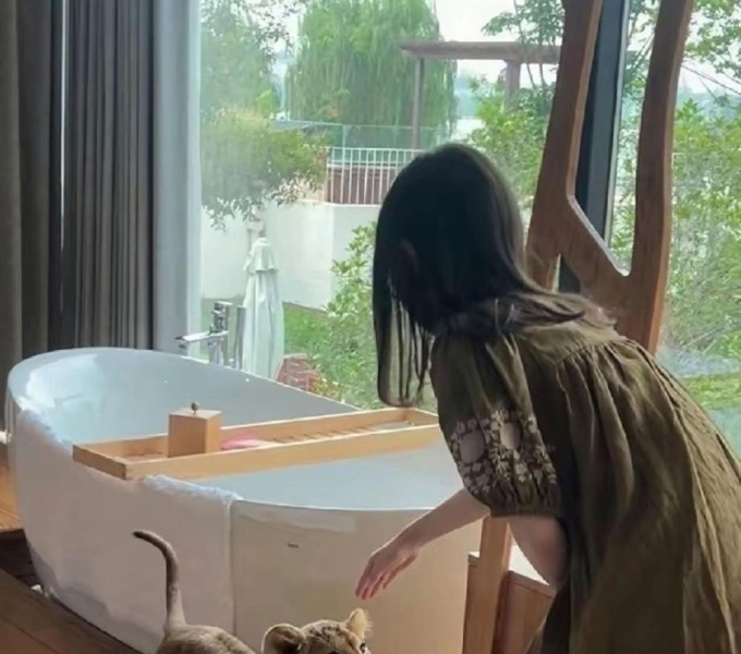 Giang Tô: trải nghiệm sư tử con gọi dậy ở khu nghỉ dưỡng