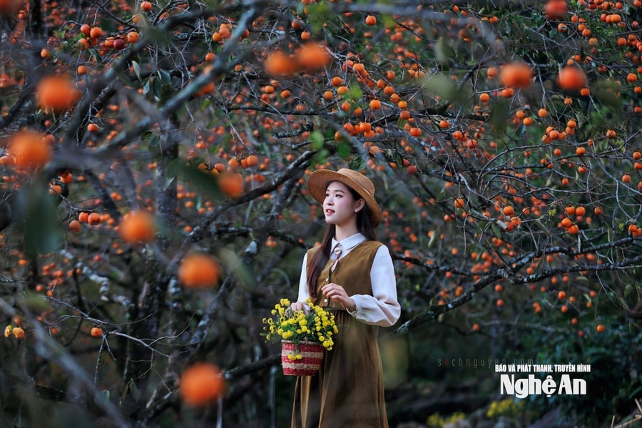 Biến tiềm năng thành động lực từ việc ban hành sớm các nghị quyết chuyên đề phát triển kinh tế