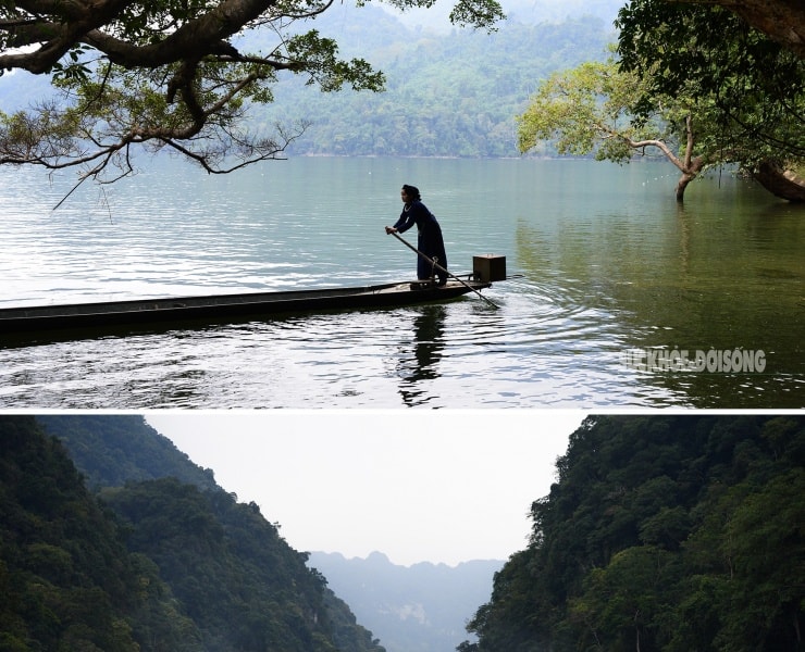 Hồ Ba Bể mùa lá chuyển: chèo thuyền giữa rừng cổ thụ